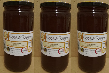 3 pots de 1Kg de mel mil flors Ribera Gironell