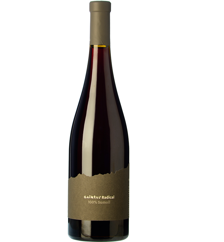 Caja de 6 - GAINTUS RADICAL (tinto) - Celler Heretat Mont Rubí - Penedès